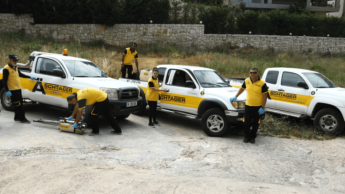 Pest Control Service Providers. Top 6 Conditions to help you choose. - Schtager