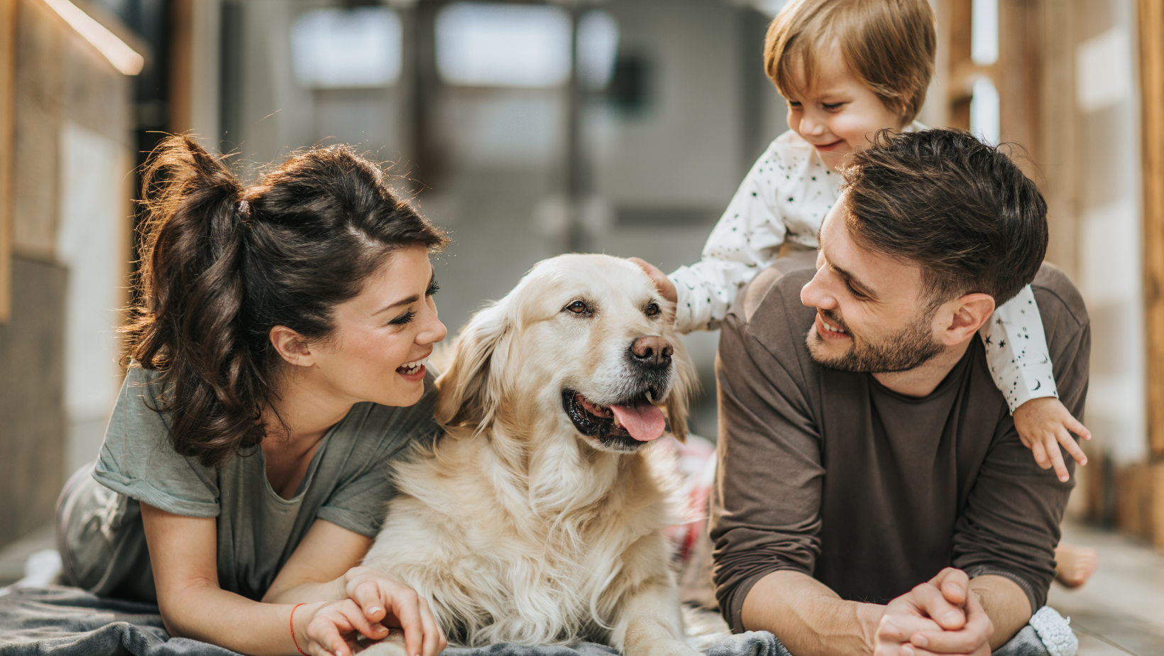 Choose Schtager for a safe and comfortable environment for your entire family, including pets.
