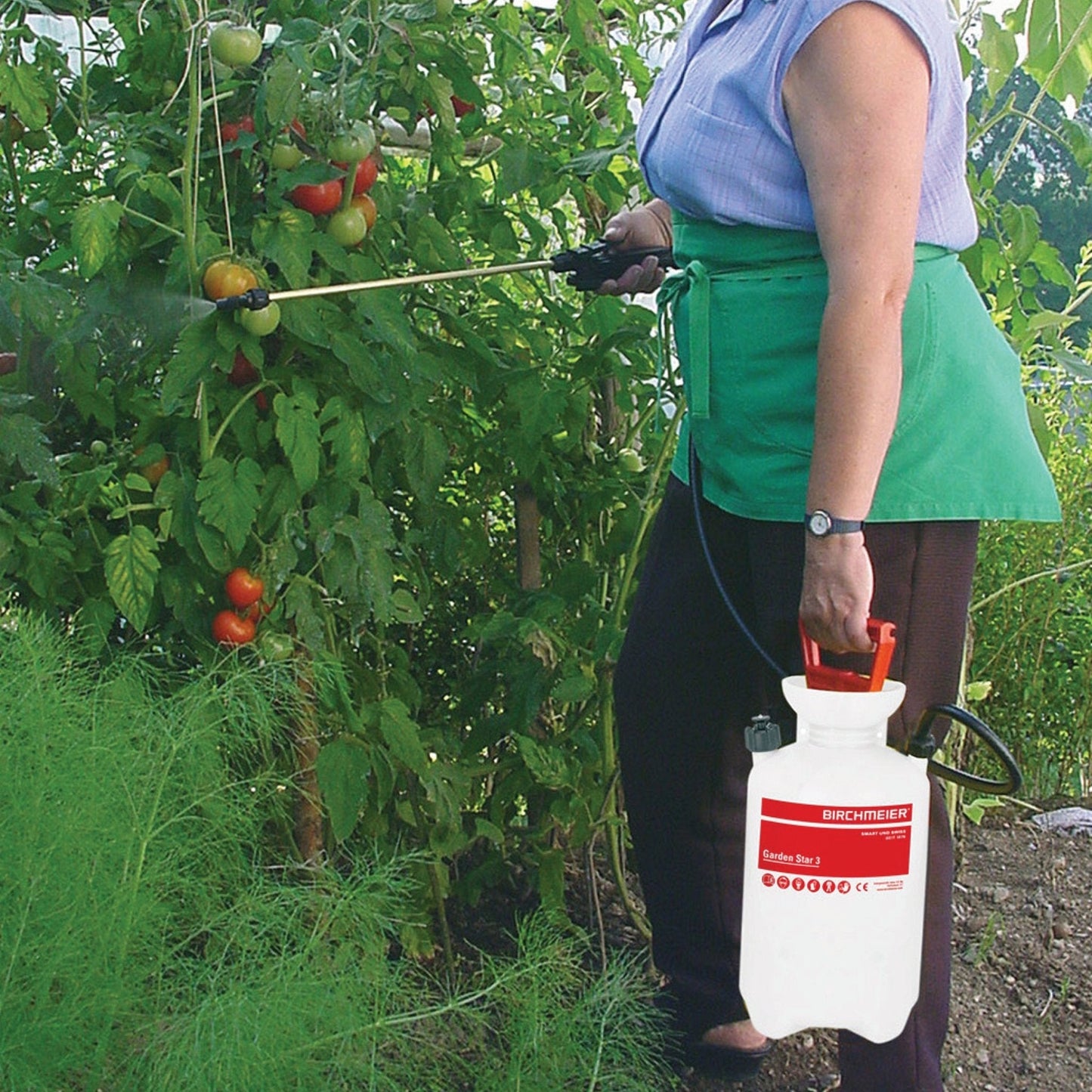 Birchmeier Garden Star 3 Sprayer - Schtager