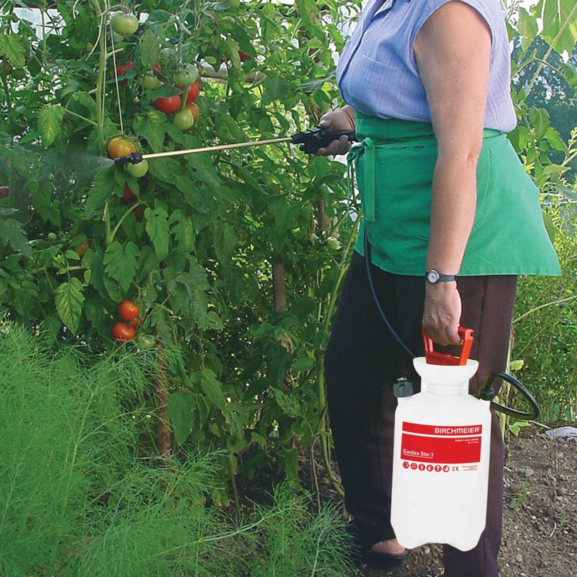 Birchmeier Garden Star 3 Sprayer - Schtager