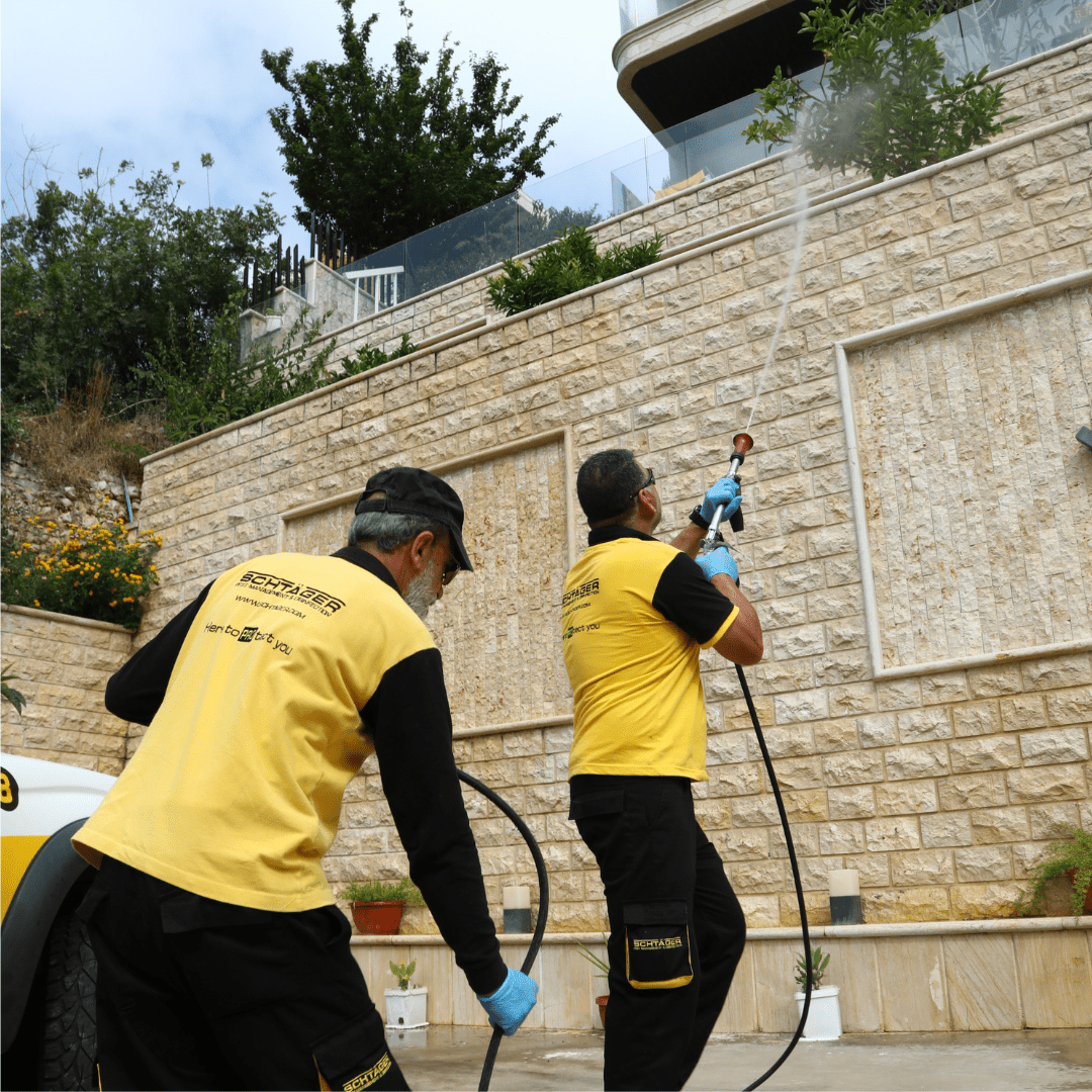 Eco-friendly flying insect treatment for homes and gardens Mount Lebanon