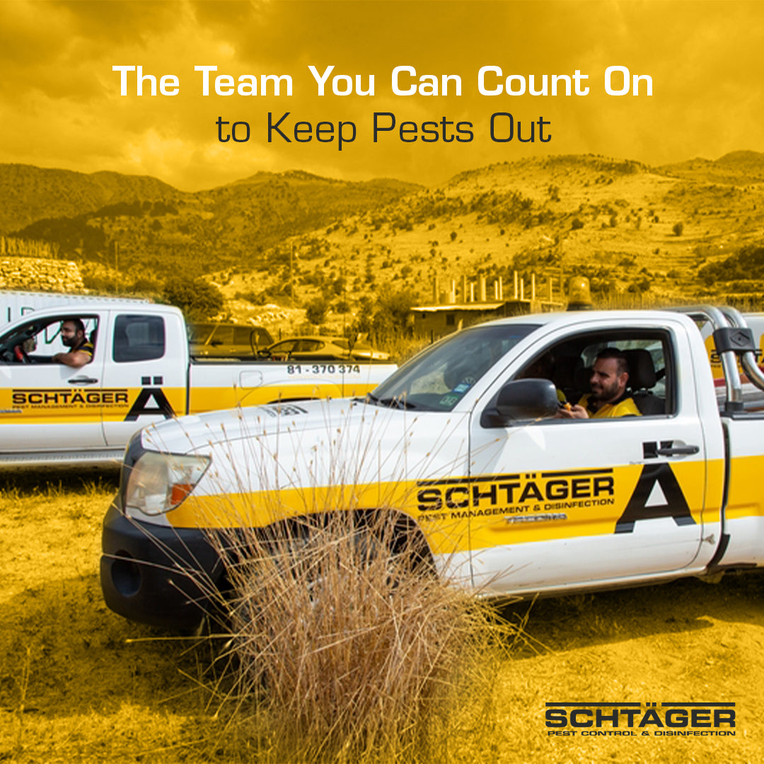 Schtager-The-Team-You-Can-Count-On-post