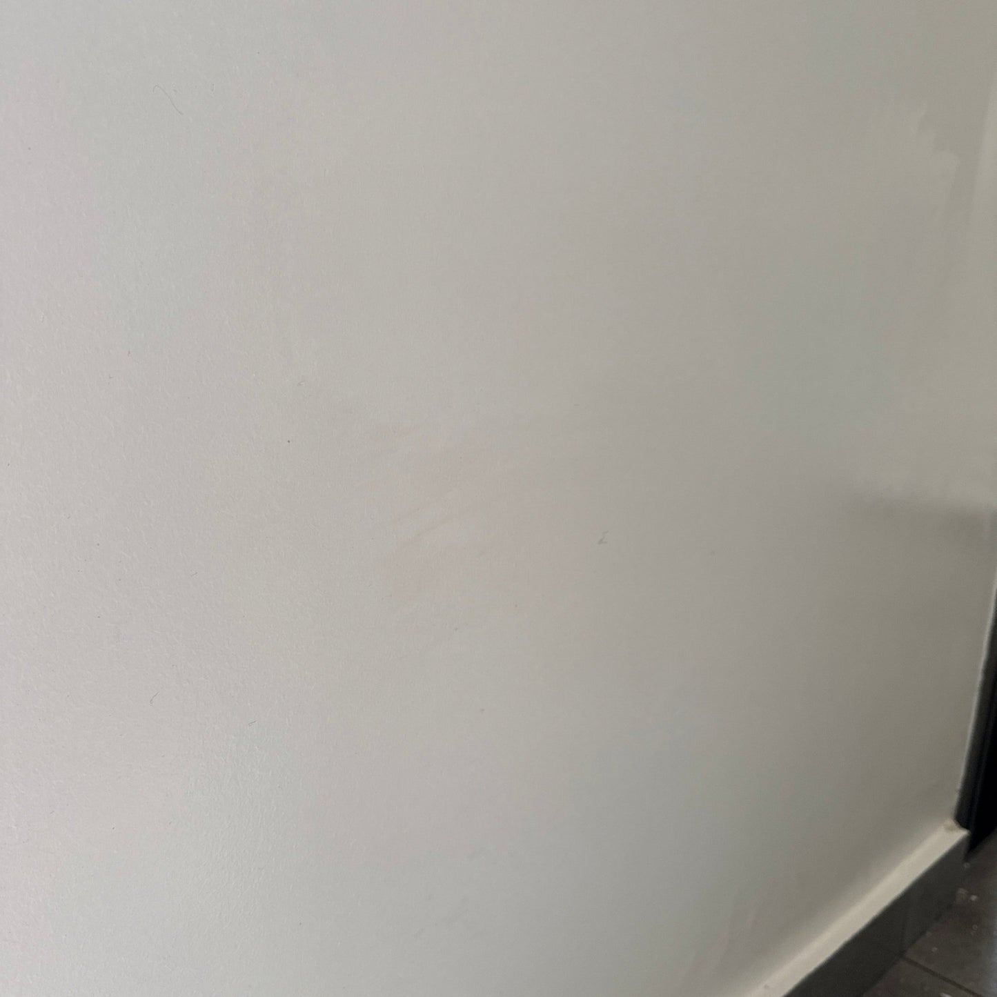 Mold Remediation Service - Schtager