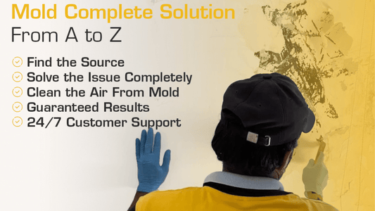 Schtager Is Your Mold Remediation Experts - Schtager