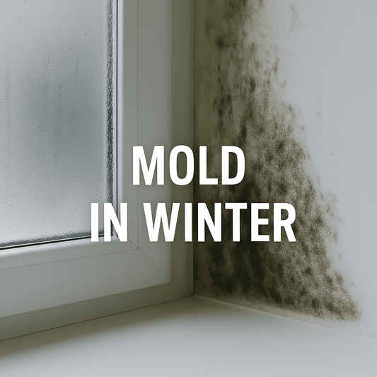 Why Mold Explodes in Lebanese Homes Every Winter — And How to Stop It. - Schtager