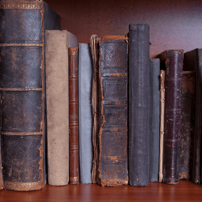 Archival book and document care for libraries and museums Lebanon