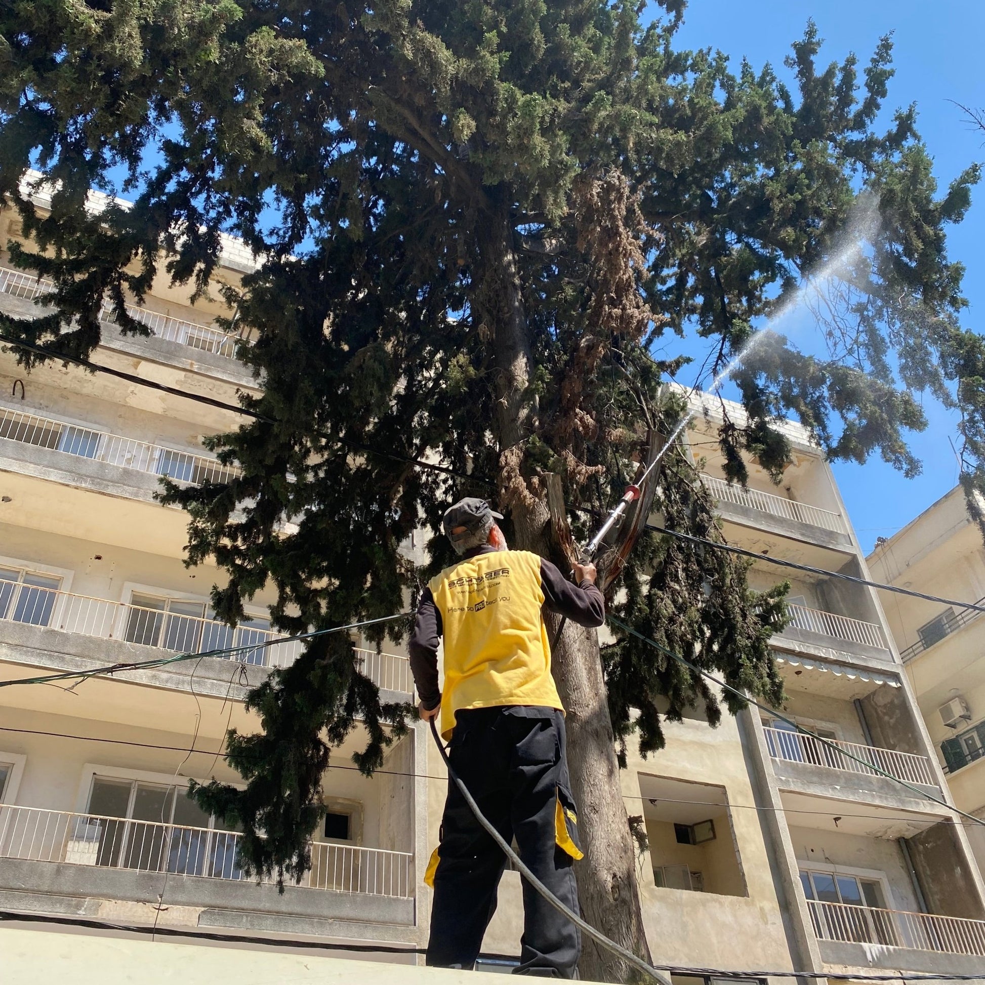 Certified pest control technician performing mosquito fogging in Beirut