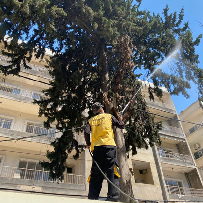 Certified pest control technician performing mosquito fogging in Beirut