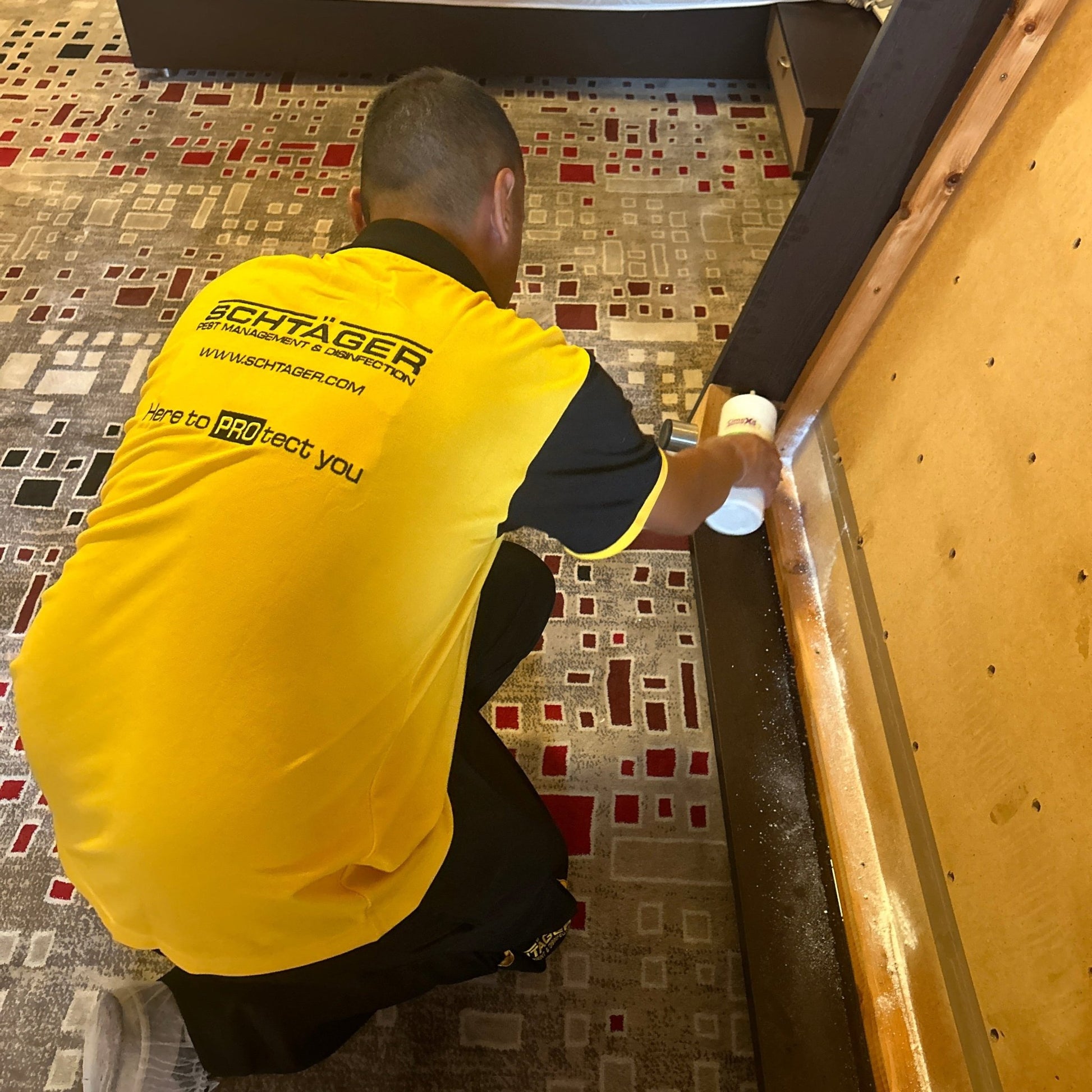 Discreet eco-safe bed bug control for resorts and hospitality Lebanon