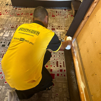 Discreet eco-safe bed bug control for resorts and hospitality Lebanon