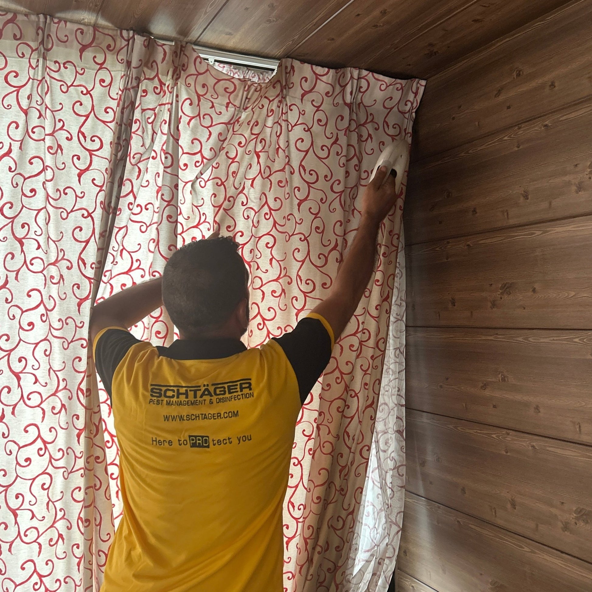 Eco-friendly bed bug control for hotels and Airbnb properties Lebanon