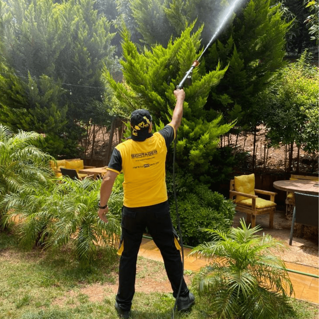 Eco-friendly flying insect treatment for homes and gardens Lebanon