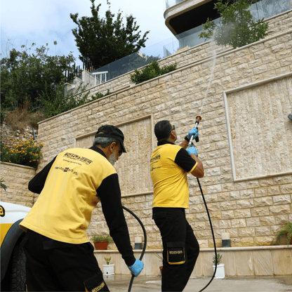 Eco-friendly flying insect treatment for homes and gardens  Mount Lebanon