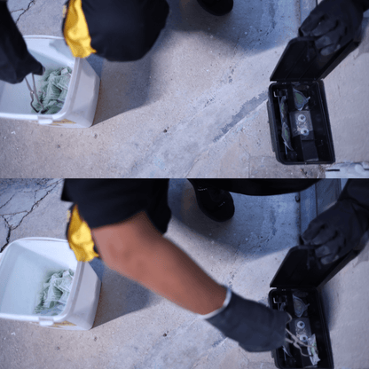 Eco-friendly rat removal and prevention Lebanon-Beirut