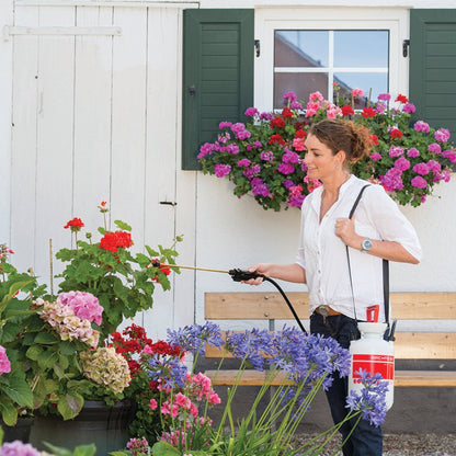 Garden Star 3 compression sprayer with brass lance