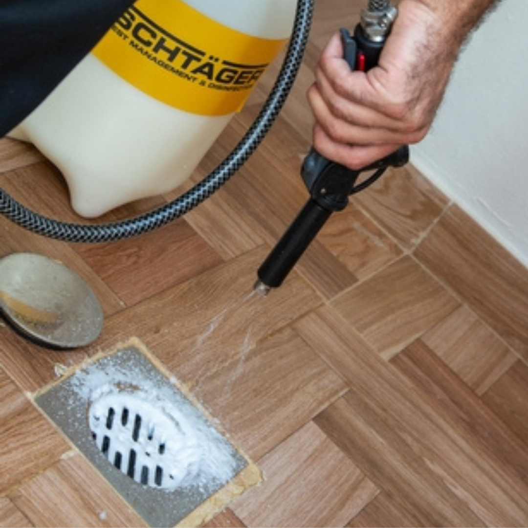Schtager worker applying Bio Sanitation Grease Removal near floor drain to prevent insect infestation in residential building.