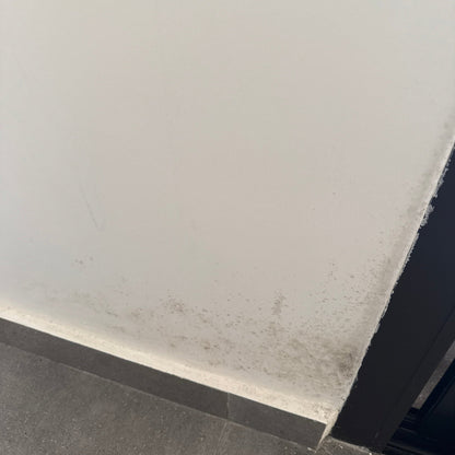 Post-water damage mold restoration service in Beirut