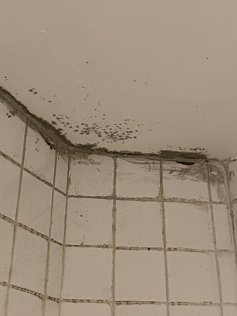 Post-water damage mold restoration service in Maten