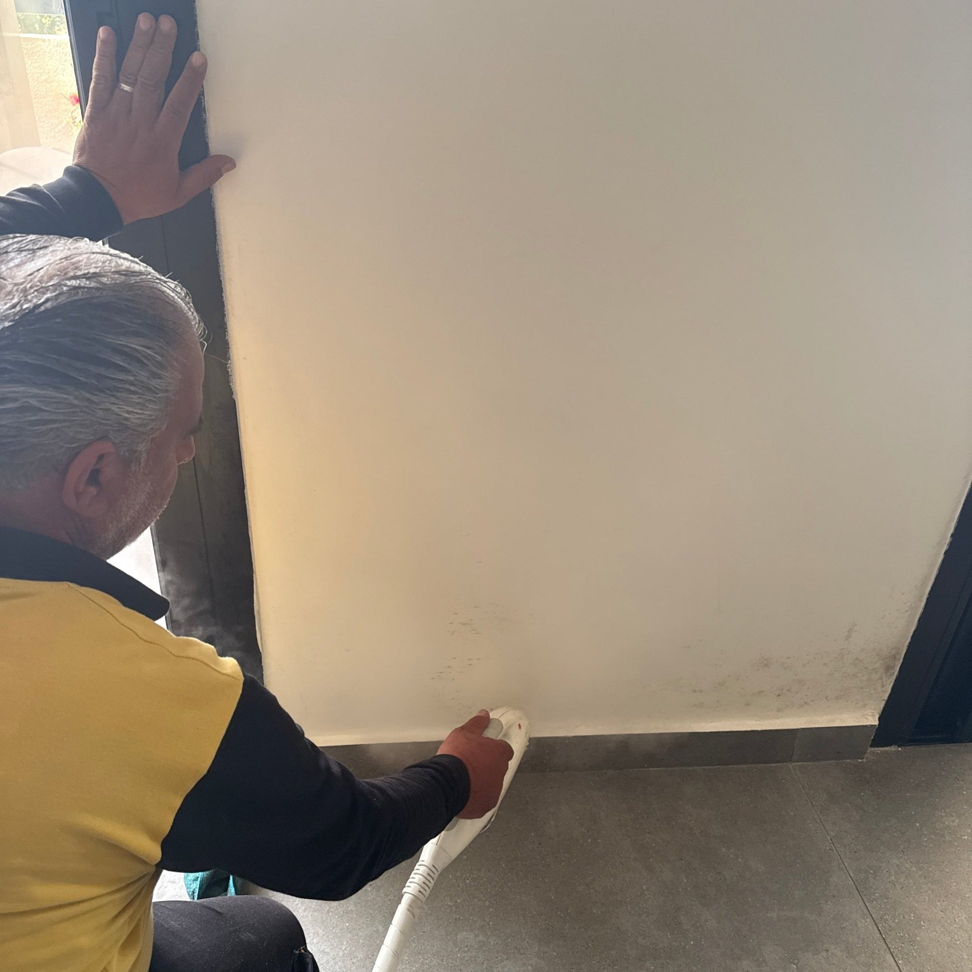 Post-water damage mold restoration service in Mount Lebanon