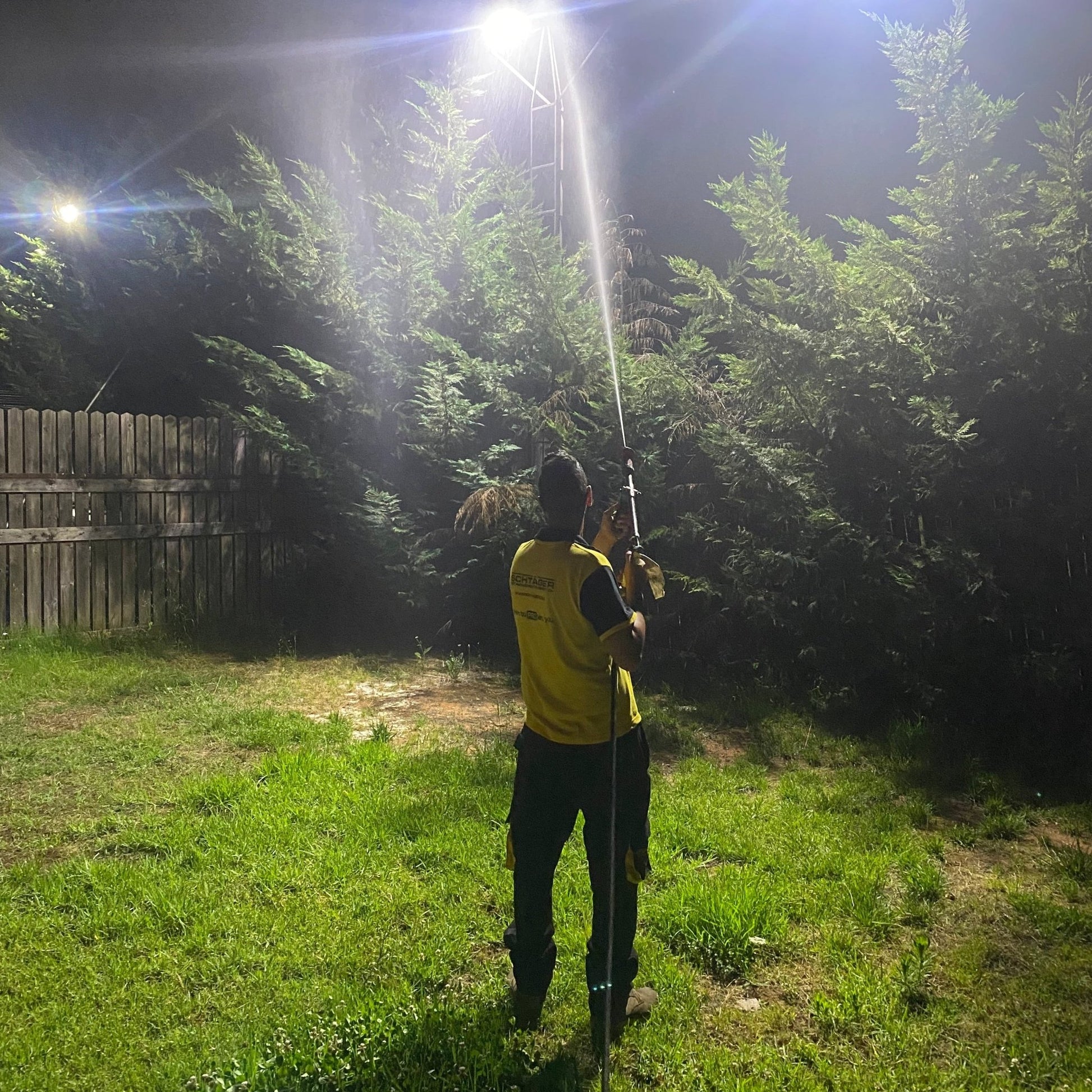 Professional fly and gnat control in Mount Lebanon by Schtager