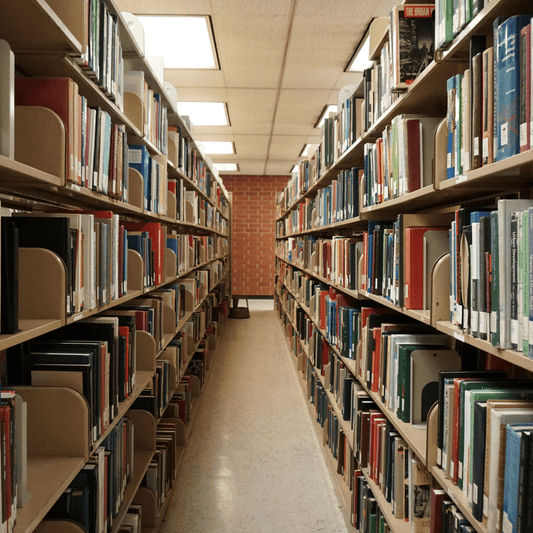 Professional library preservation service in Beirut Lebanon by Schtager