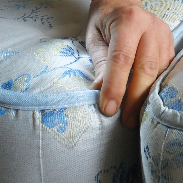 Professional technician applying bed bug treatment in Lebanese home-Beirut