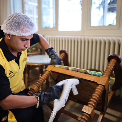 Professional technician applying bed bug treatment in Lebanese home