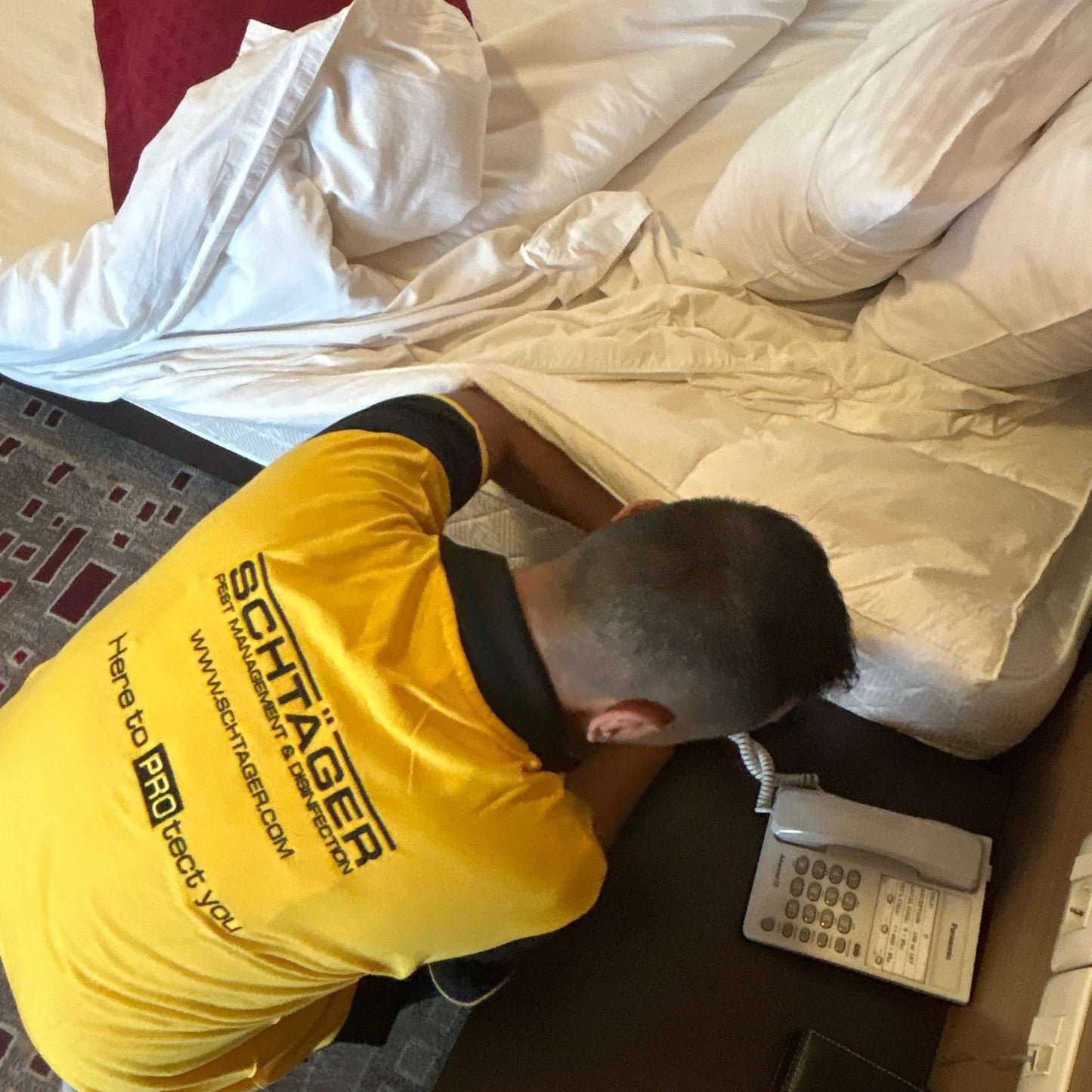 Professional technician inspecting a hotel room for bed bugs Lebanon