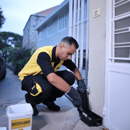 Rodent inspection and baiting service in Mount Lebanon