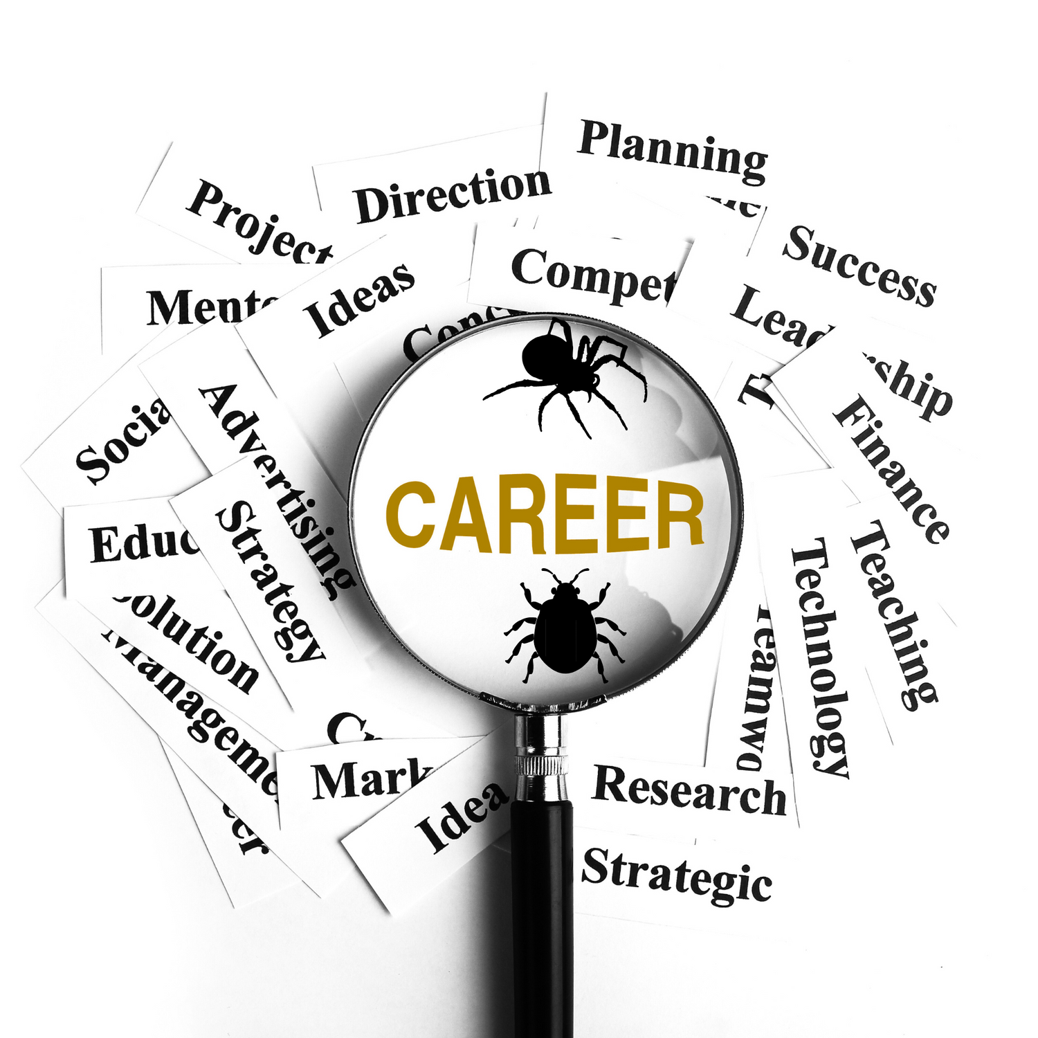 A Post for Career application, Get on Board with Schatger Team and Build Your Career With Us. 