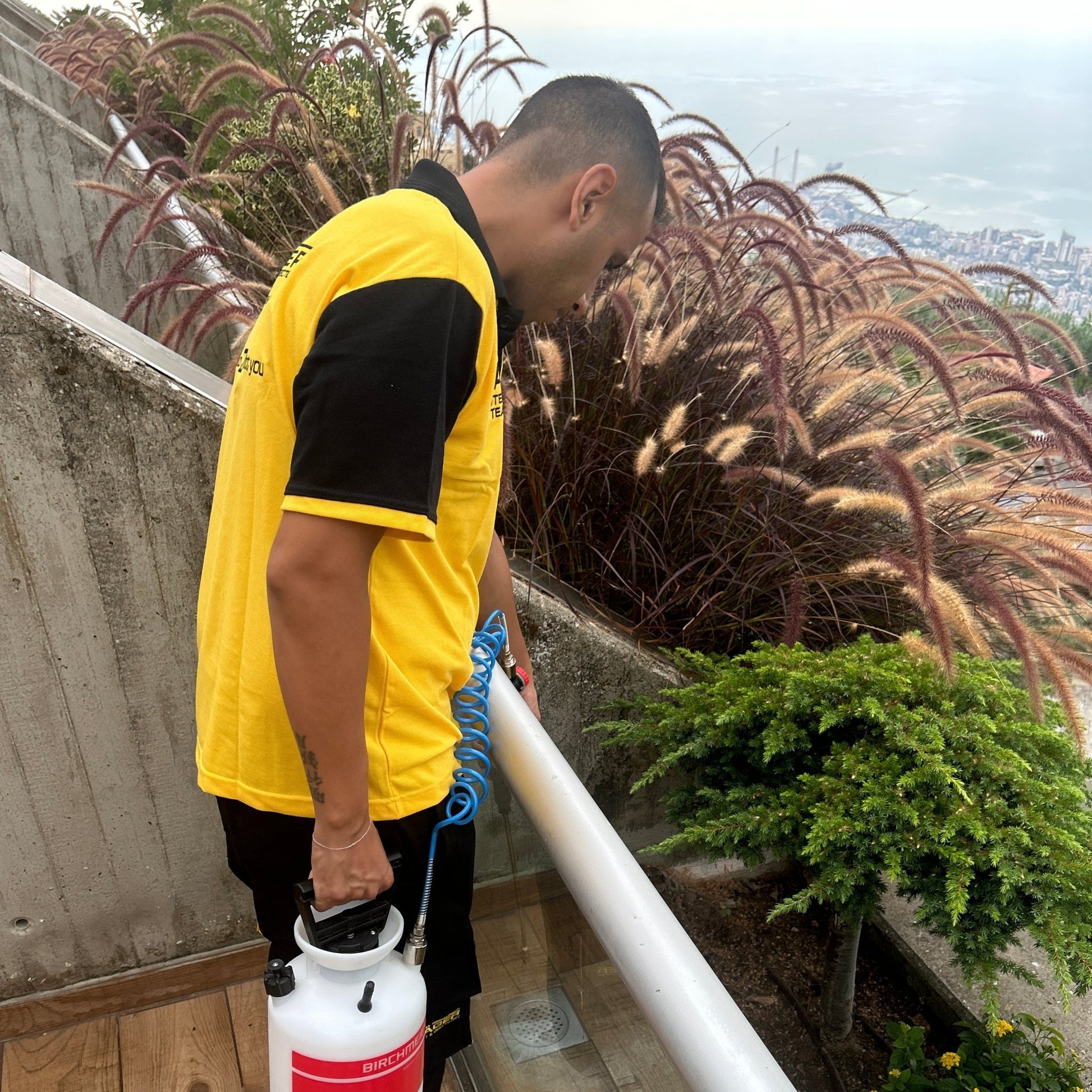 Safe insect pest control service for restaurants and offices in Lebanon-Beirut