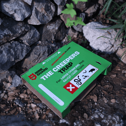 Safe snake control service for homes and businesses Lebanon