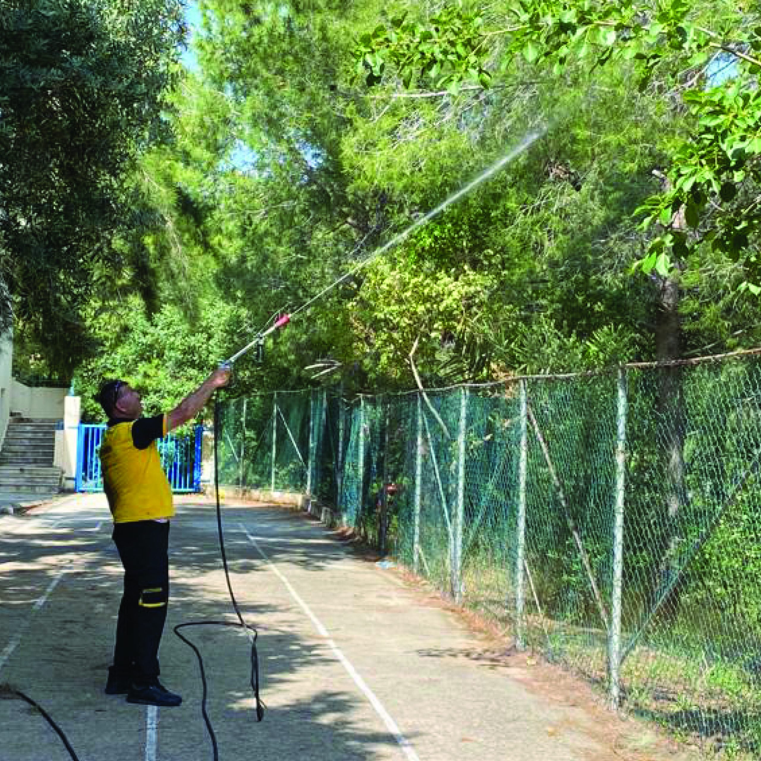 Pest control technician spraying tall trees with insecticide to eliminate outdoor pests and protect green areas along a residential fence line.