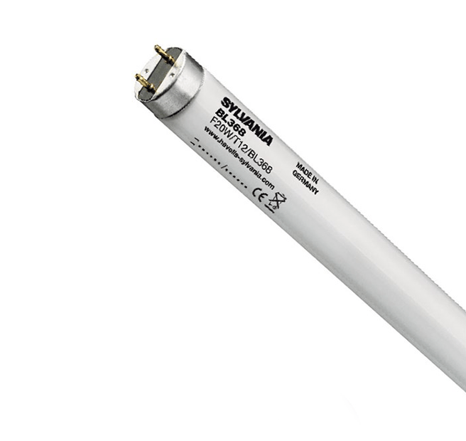 Sylvania F15W T8 BL368 UV lamp front view