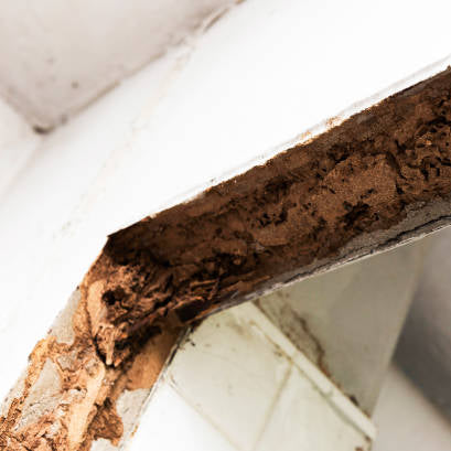 Severe termite damage in structural wood beam of a residential building, showing signs of infestation and hollowed-out timber.