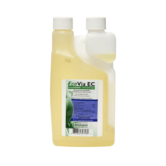 EcoVia EC Big Bottle - Schtager