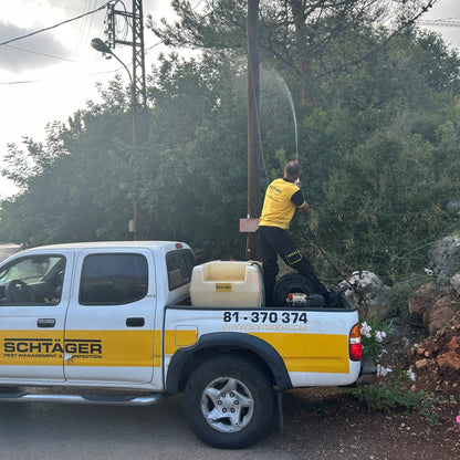 Municipality Treatment - Schtager