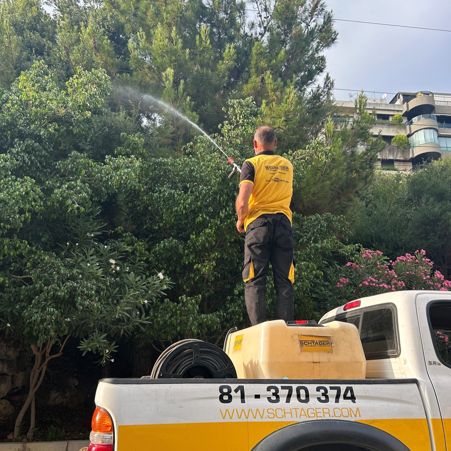 Municipality Treatment - Schtager