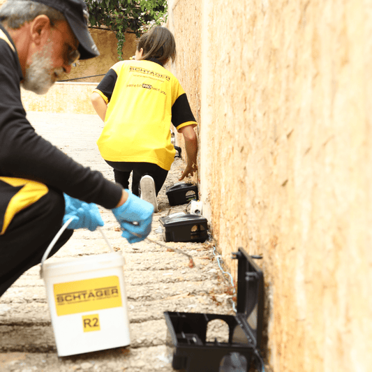 Rat & Mouse Treatment - Schtager