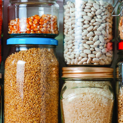 Stored Insect Pests - Schtager