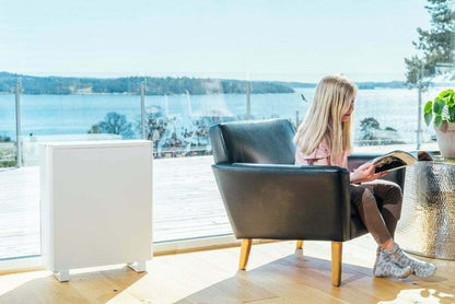 Wood’s Air purifier AL 310FC - Schtager
